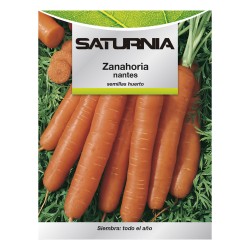 Semillas Zanahoria Nantes Temprana (7 Gramos). Semillas Verduras, Horticultura, Horticola, Semillas Huerto. SATURNIA