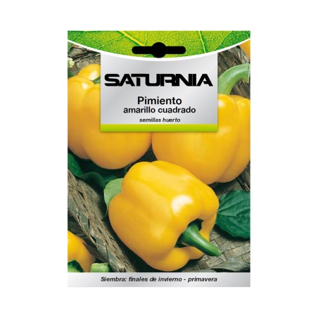 Semillas Pimiento Amarillo Cuadrado (1.5 gramos) Semillas Verduras, Horticultura, Horticola, Semillas Huerto. SATURNIA