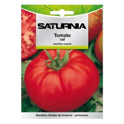 Semillas Tomate Raf (1.5 gramos) Semillas Verduras, Horticultura, Horticola, Semillas Huerto. SATURNIA