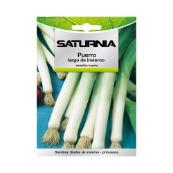 Semillas Puerro Largo De Invierno (3 gramos) Semillas Verduras, Horticultura, Horticola, Semillas Huerto. SATURNIA