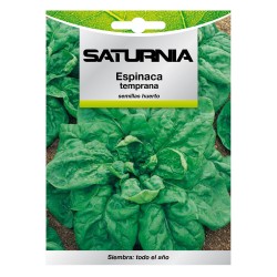 Semillas Espinaca Temprana (8 gramos) Semillas Verduras, Horticultura, Horticola, Semillas Huerto. SATURNIA