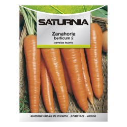 Semillas Huerto Zanahoria Berlicum SATURNIA