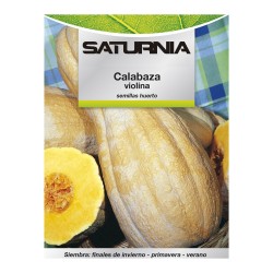 Semillas Huerto Calabaza Violina SATURNIA