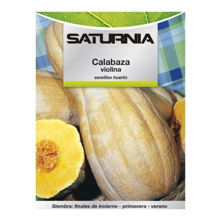 Semillas Huerto Calabaza Violina SATURNIA