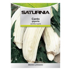 Semillas Huerto Cardo SATURNIA