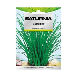 Semillas Aromaticas Cebollino (1 gramo) Horticultura, Horticola, Semillas Huerto. SATURNIA