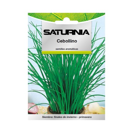 Semillas Aromaticas Cebollino (1 gramo) Horticultura, Horticola, Semillas Huerto. SATURNIA