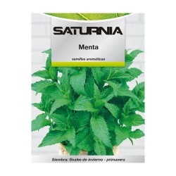 Semillas Aromaticas Menta (0.3 gramos) Horticultura, Horticola, Semillas Huerto. SATURNIA